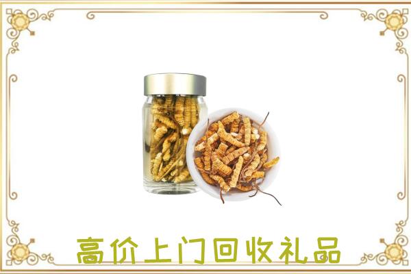 大城周边回收虫草